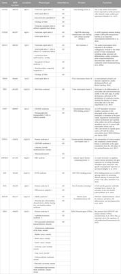 Prenatal finding of isolated ventricular septal defect: genetic association, outcomes and counseling